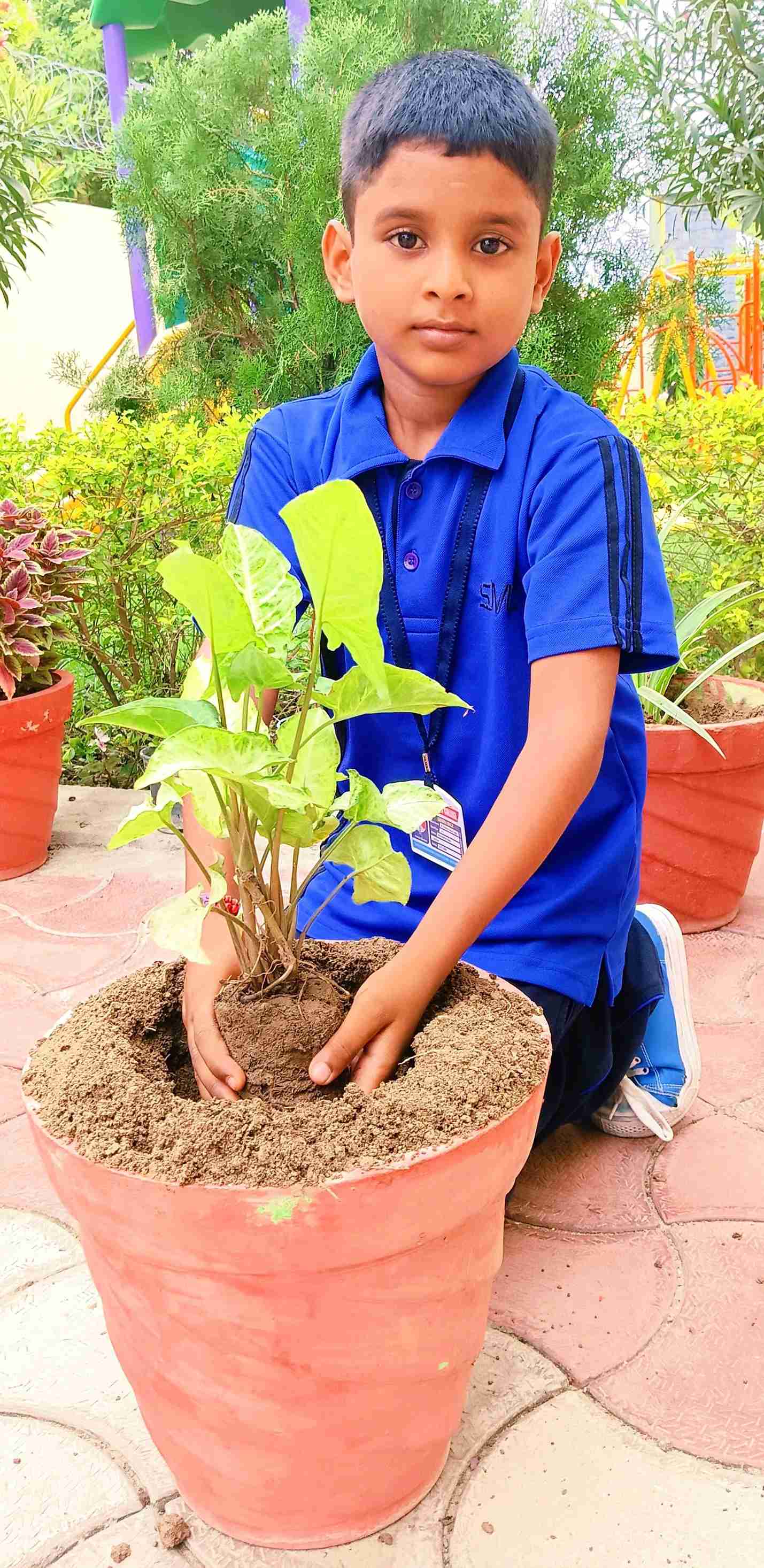 Ek Ped Maa Ke Naam 2025